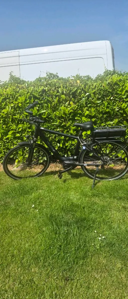 2025 Electric Bicycle - Image 2