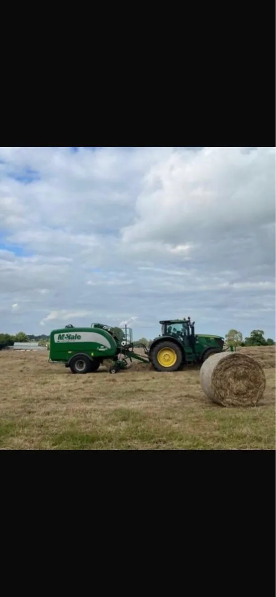 Hay for sale - Image 2