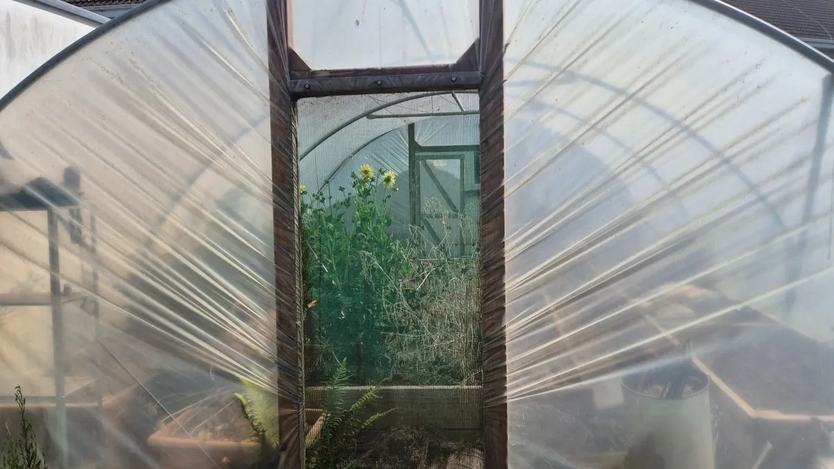 Polytunnel - Image 1