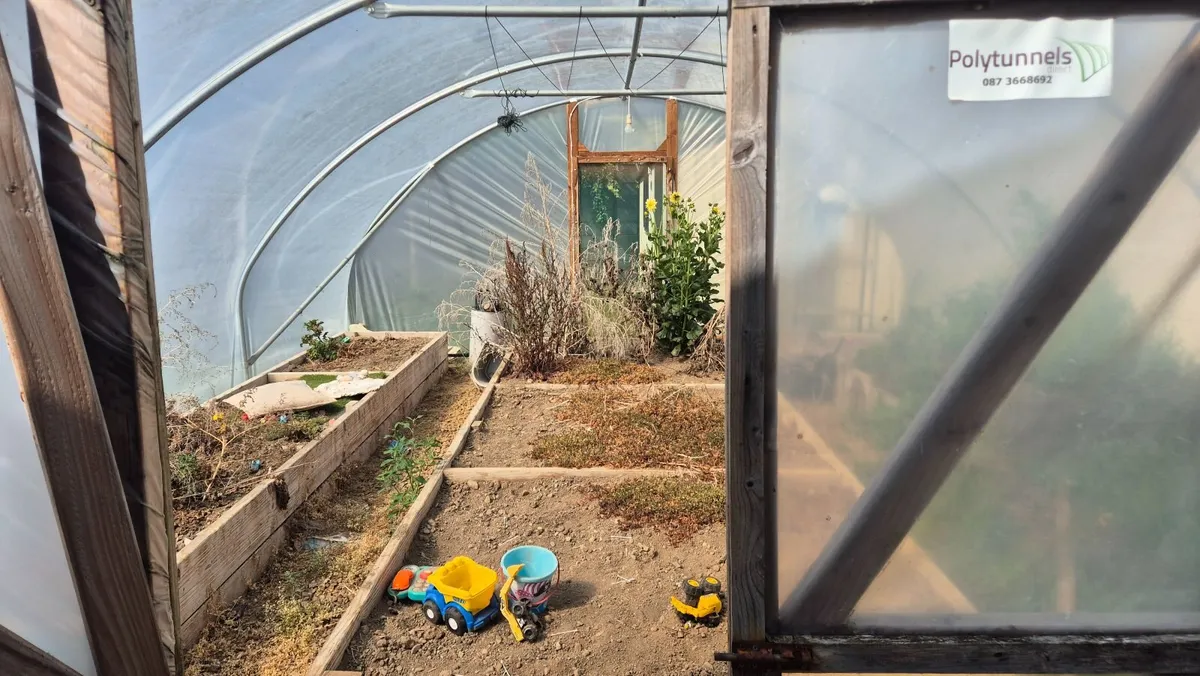 Polytunnel - Image 3