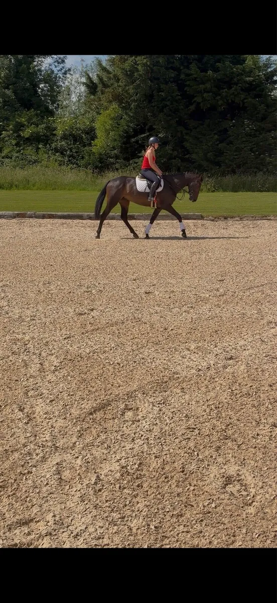 Stunning 6 year old - Image 2