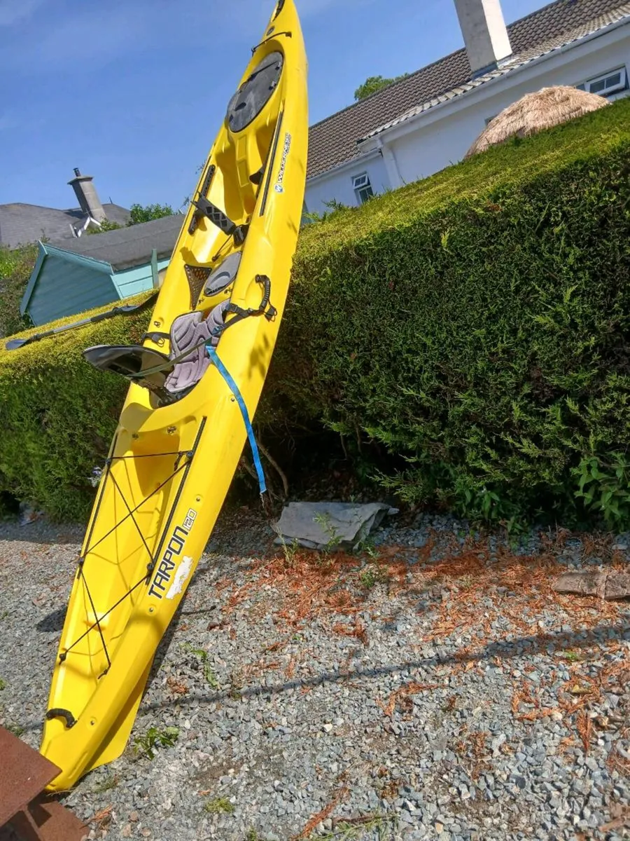 Kayak - Image 2