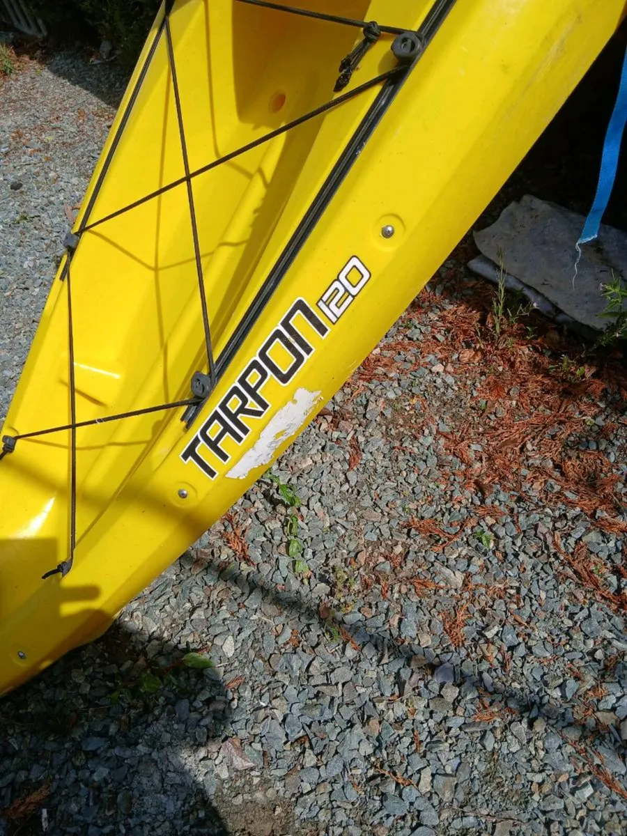 Kayak - Image 4