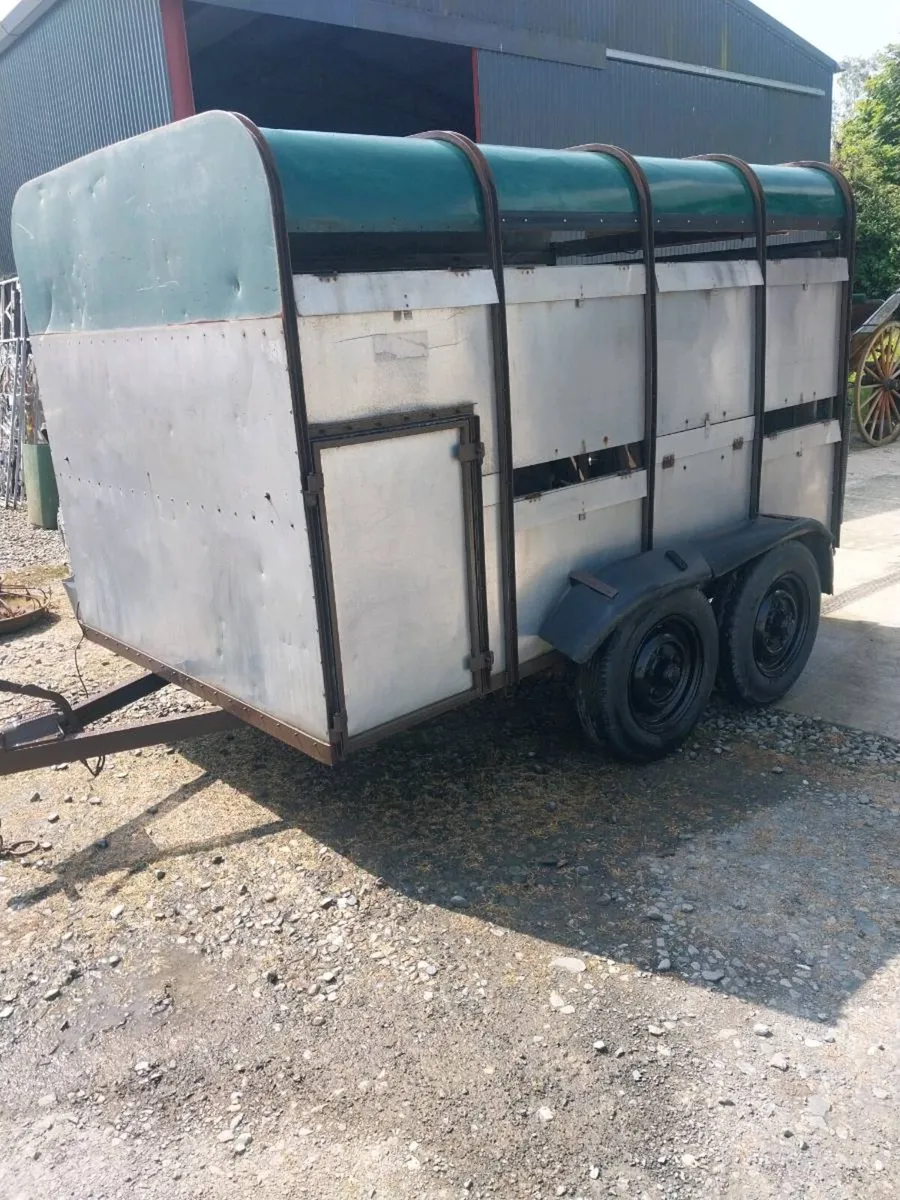 IVOR WILLIAMS CATTLE TRAILER FOR SALE - Image 3
