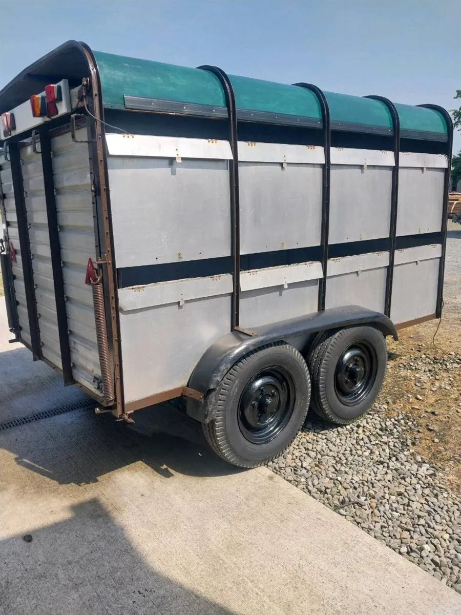 IVOR WILLIAMS CATTLE TRAILER FOR SALE - Image 1