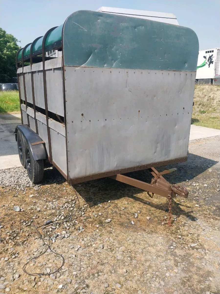 IVOR WILLIAMS CATTLE TRAILER FOR SALE - Image 2