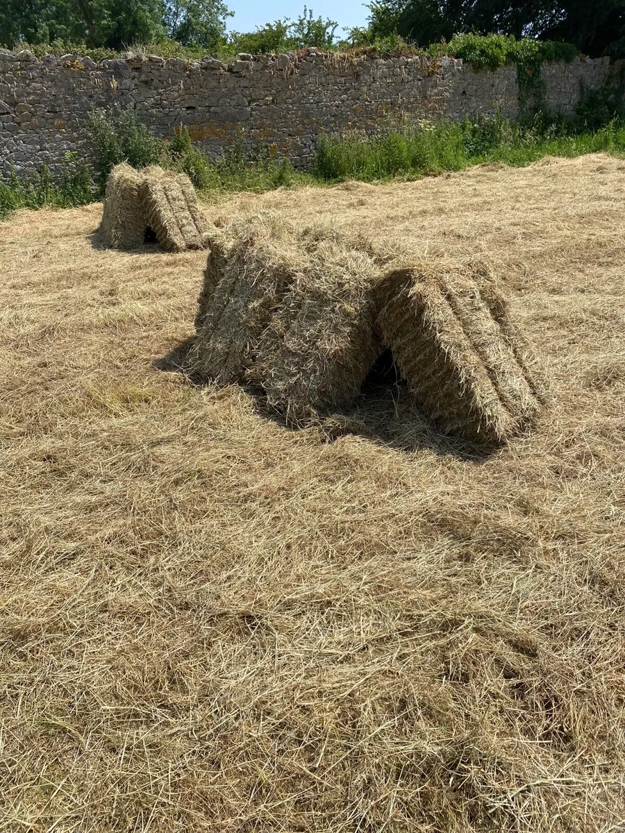 Square bales of hay - Image 4