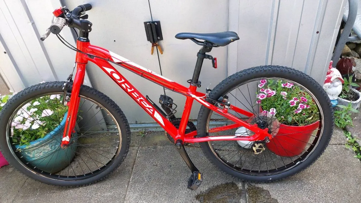 Orbea MX 24 - Image 4