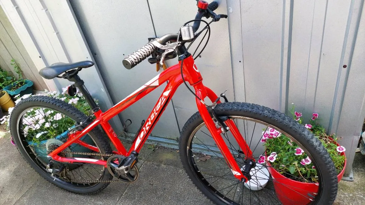 Orbea MX 24 - Image 3