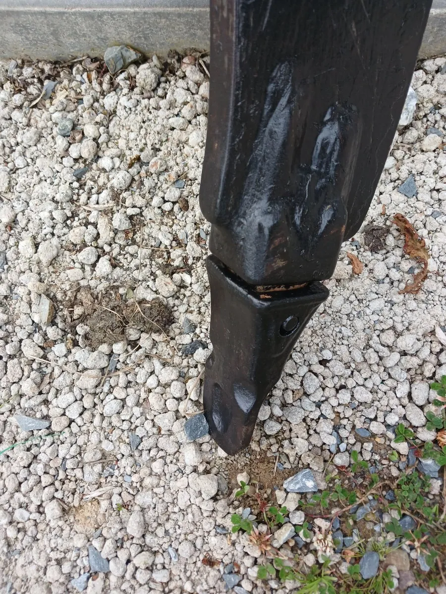 Ripper tooth - Image 2