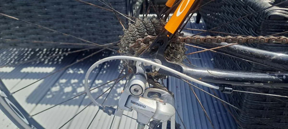 Orbea raod bike - Image 4