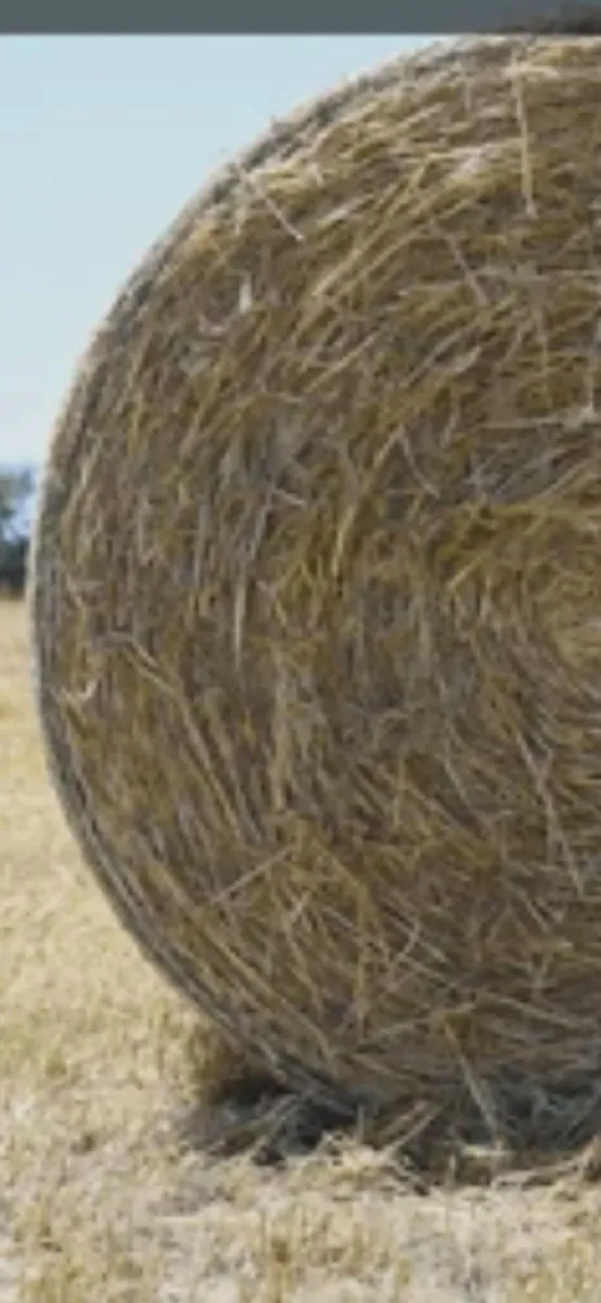 Hay round bales €36 - Image 2