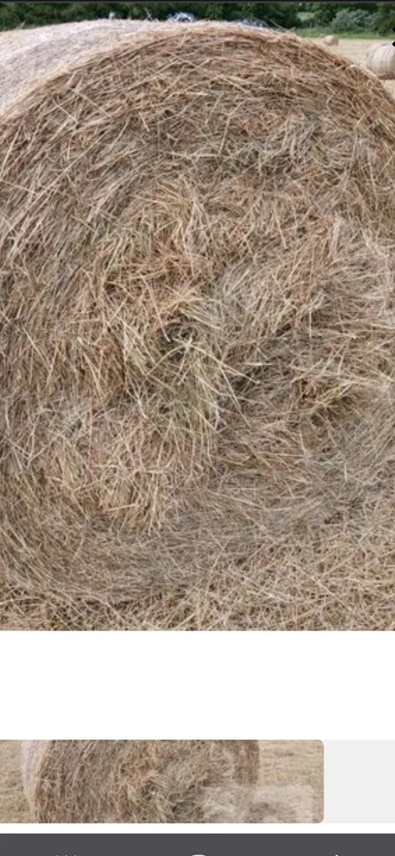 Hay round bales €36 - Image 3