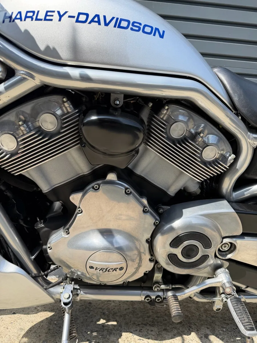 06 Harley - Davidson street rod (vrscr) 9,610 km - Image 3
