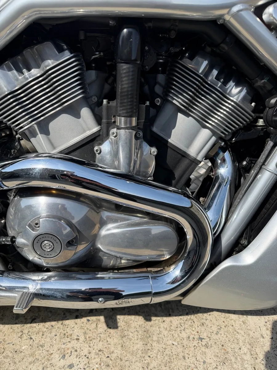 06 Harley - Davidson street rod (vrscr) 9,610 km - Image 4