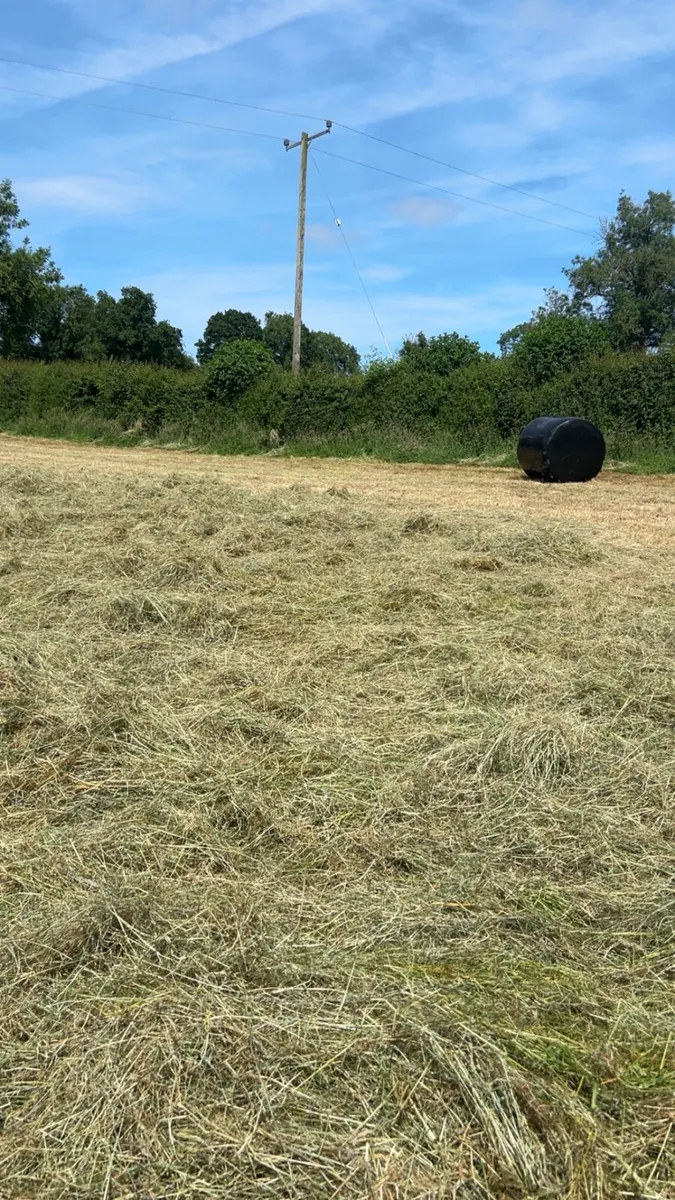 Round Baled Hay - Image 1