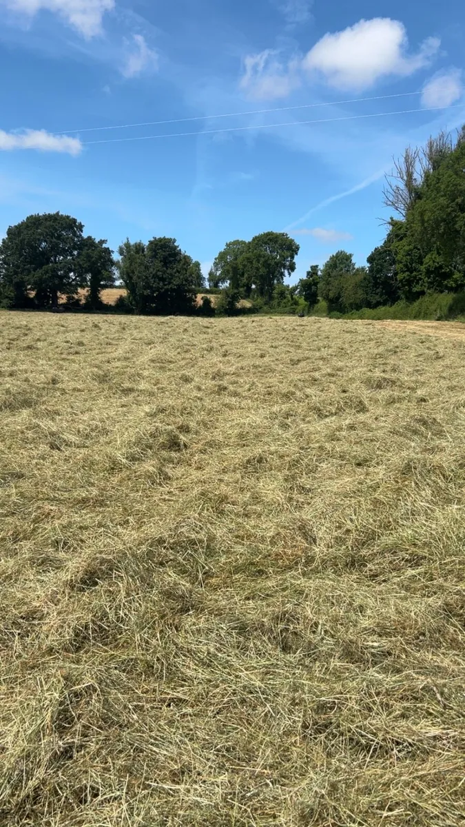 Round Baled Hay - Image 2