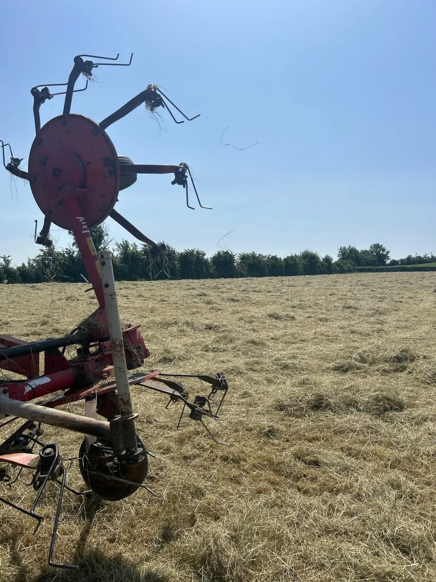 Round Baled Hay - Image 3