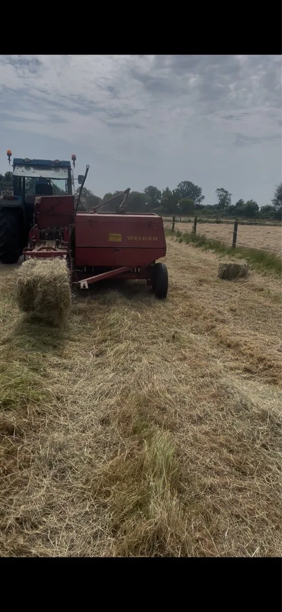 Hay