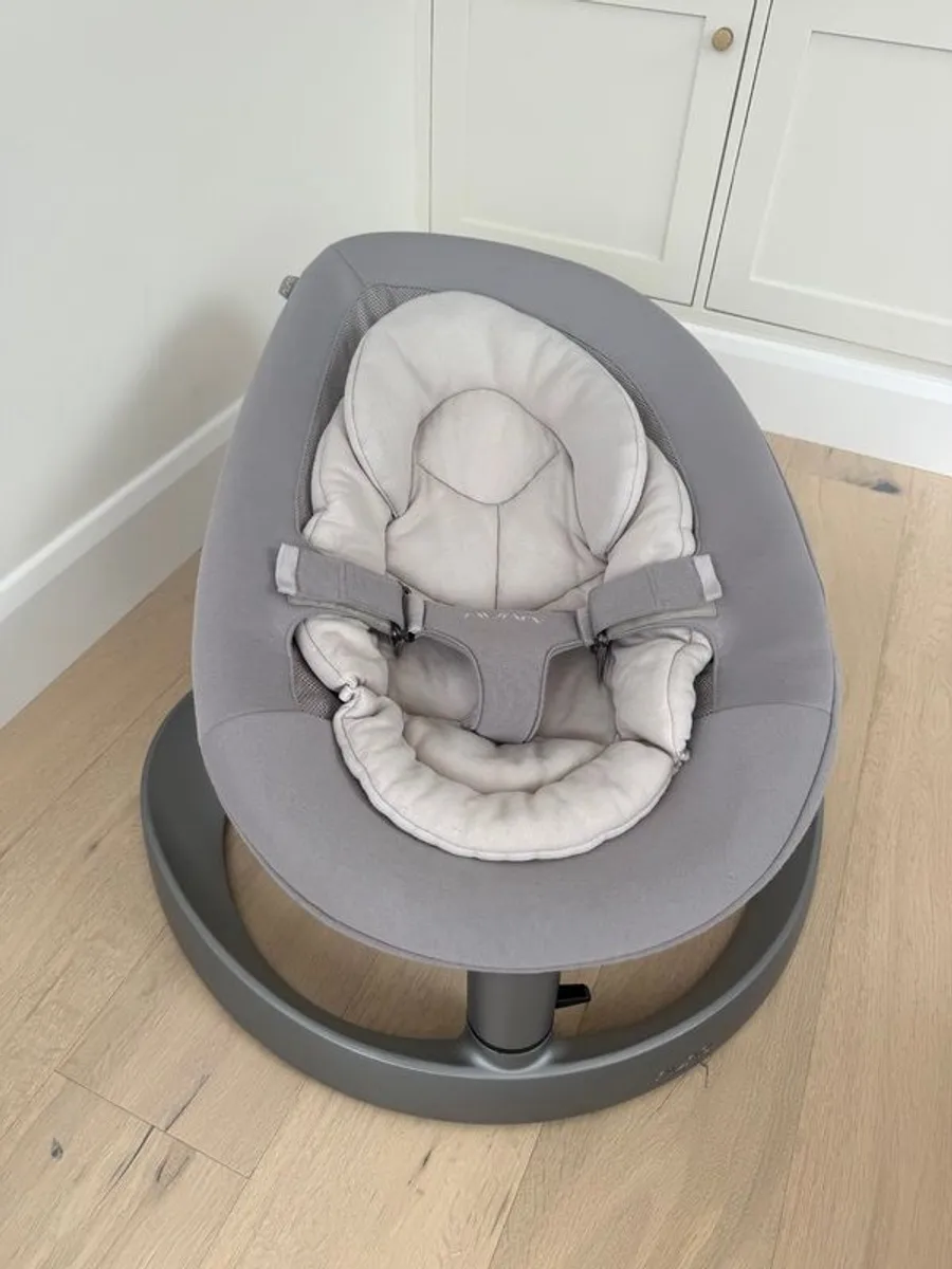Nuna Leaf Rocker / Swing / Bouncer - Image 1