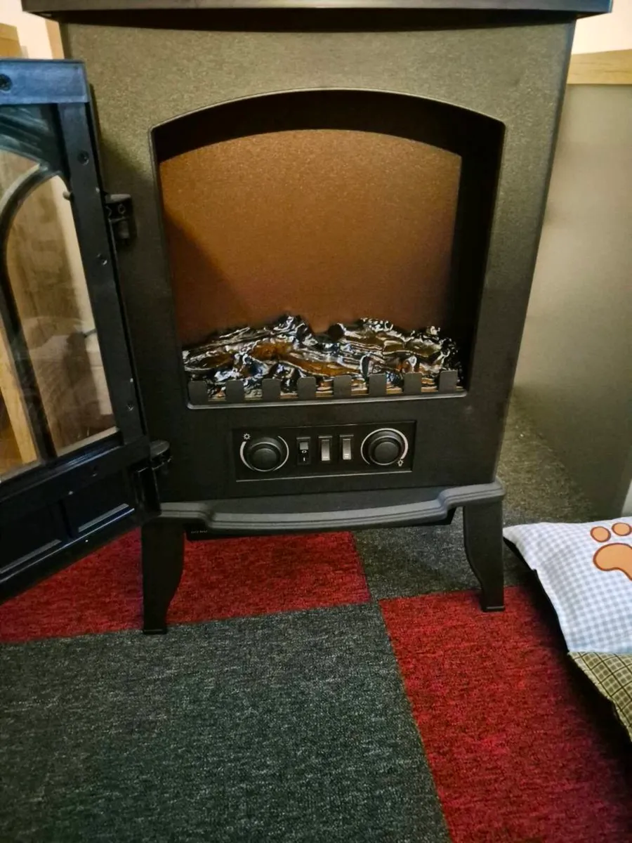 A NEW ELECTRIC FIRE - Image 3