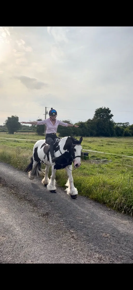 14.1 Super Cob - Image 4