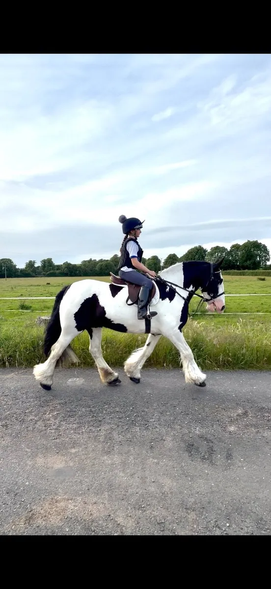 14.1 Super Cob - Image 3