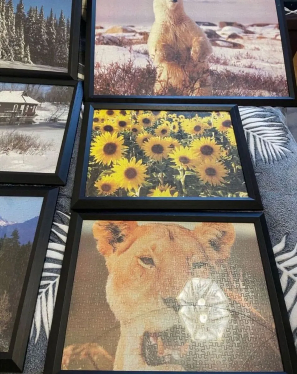 Picture frames - Image 3