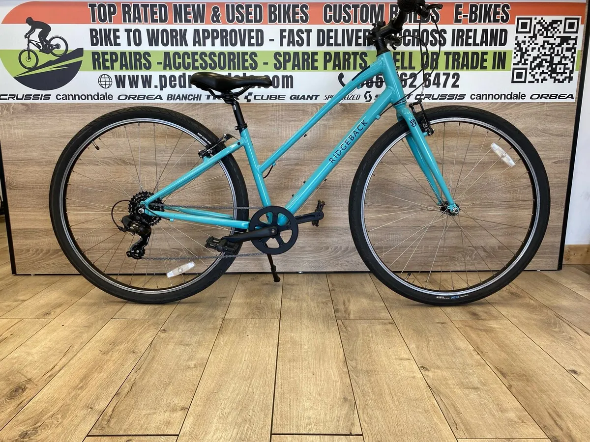 Ridgeback comet (like new) - Image 1