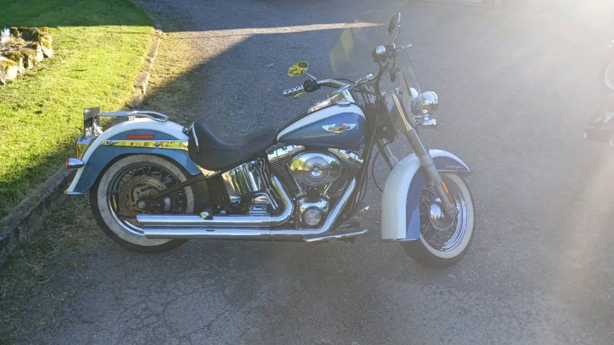 Harley davidson - Image 1