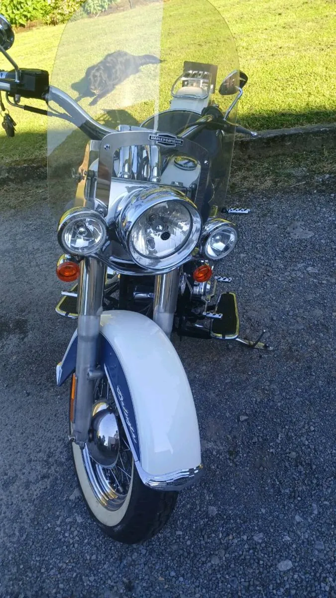 Harley davidson - Image 2