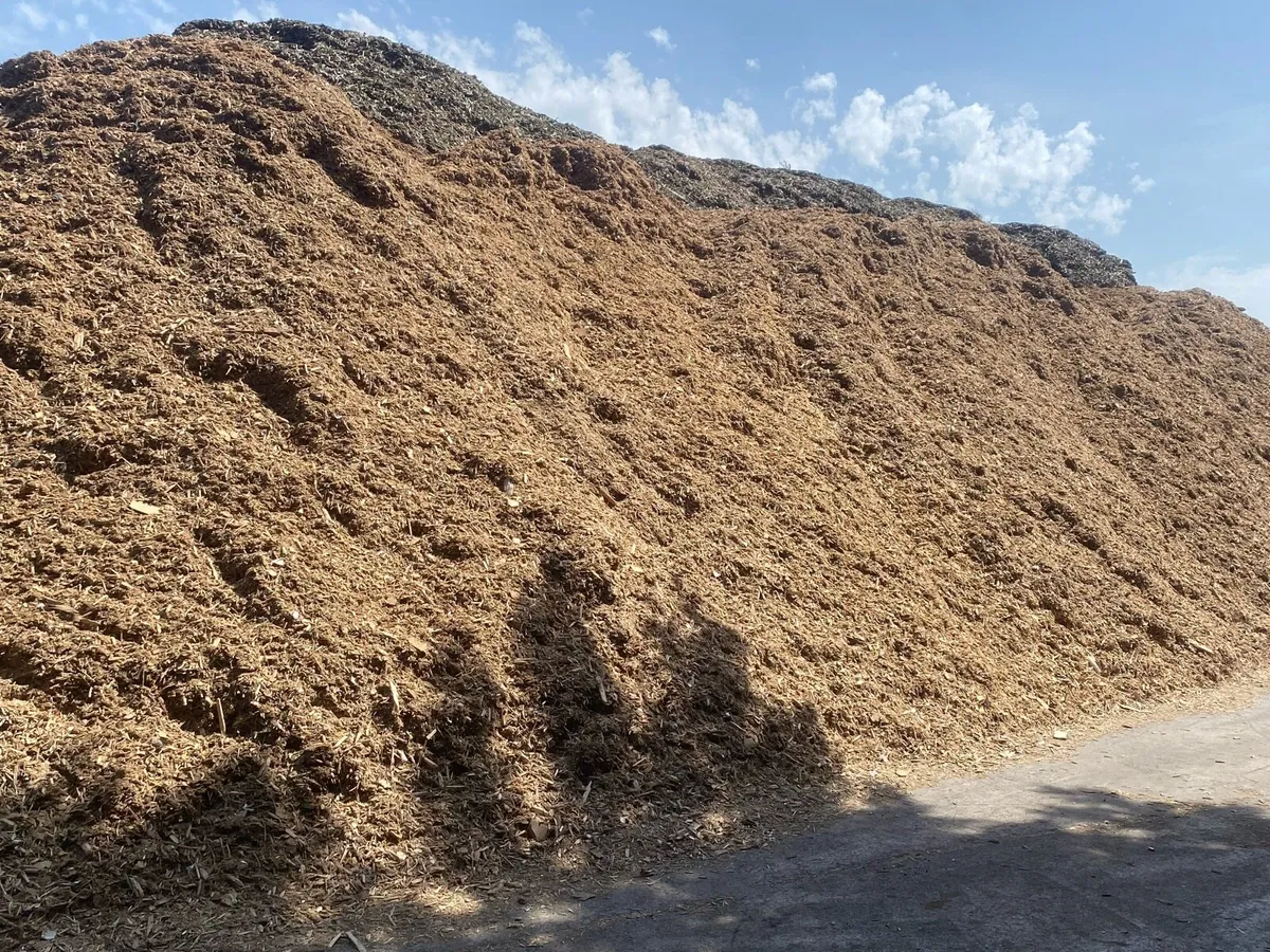 Wood chip - Image 1