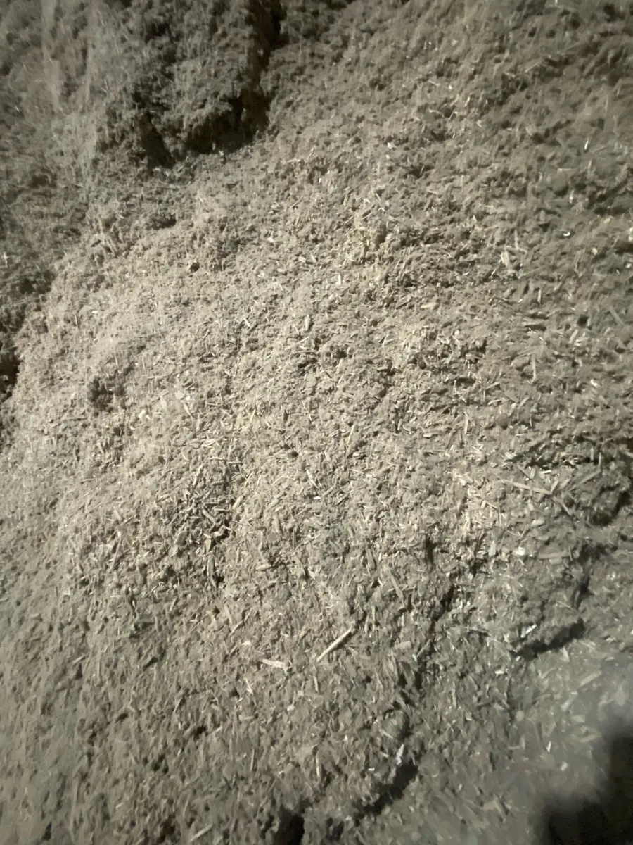 Wood chip - Image 2