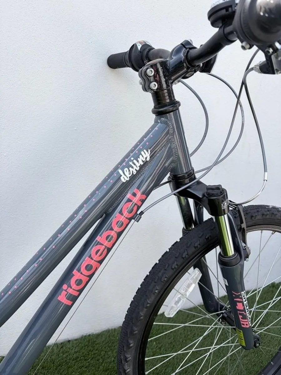 Ridgeback Destiny bike 24 inch - Image 2