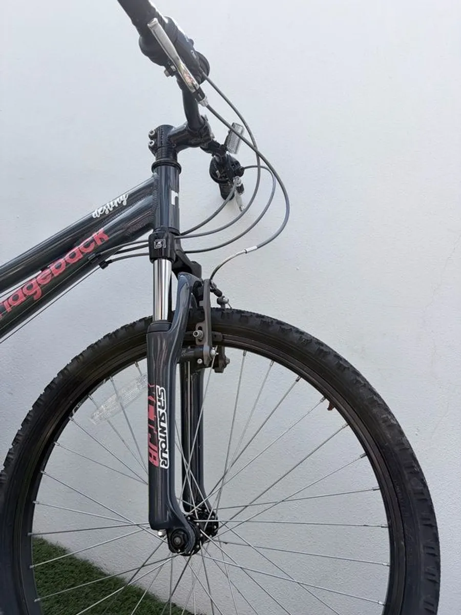 Ridgeback Destiny bike 24 inch - Image 4