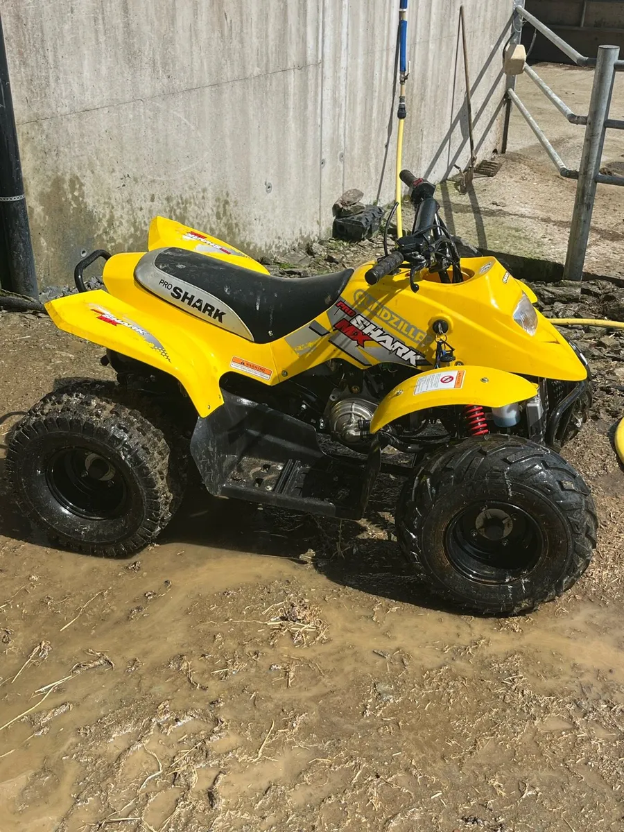 Quad - Image 1