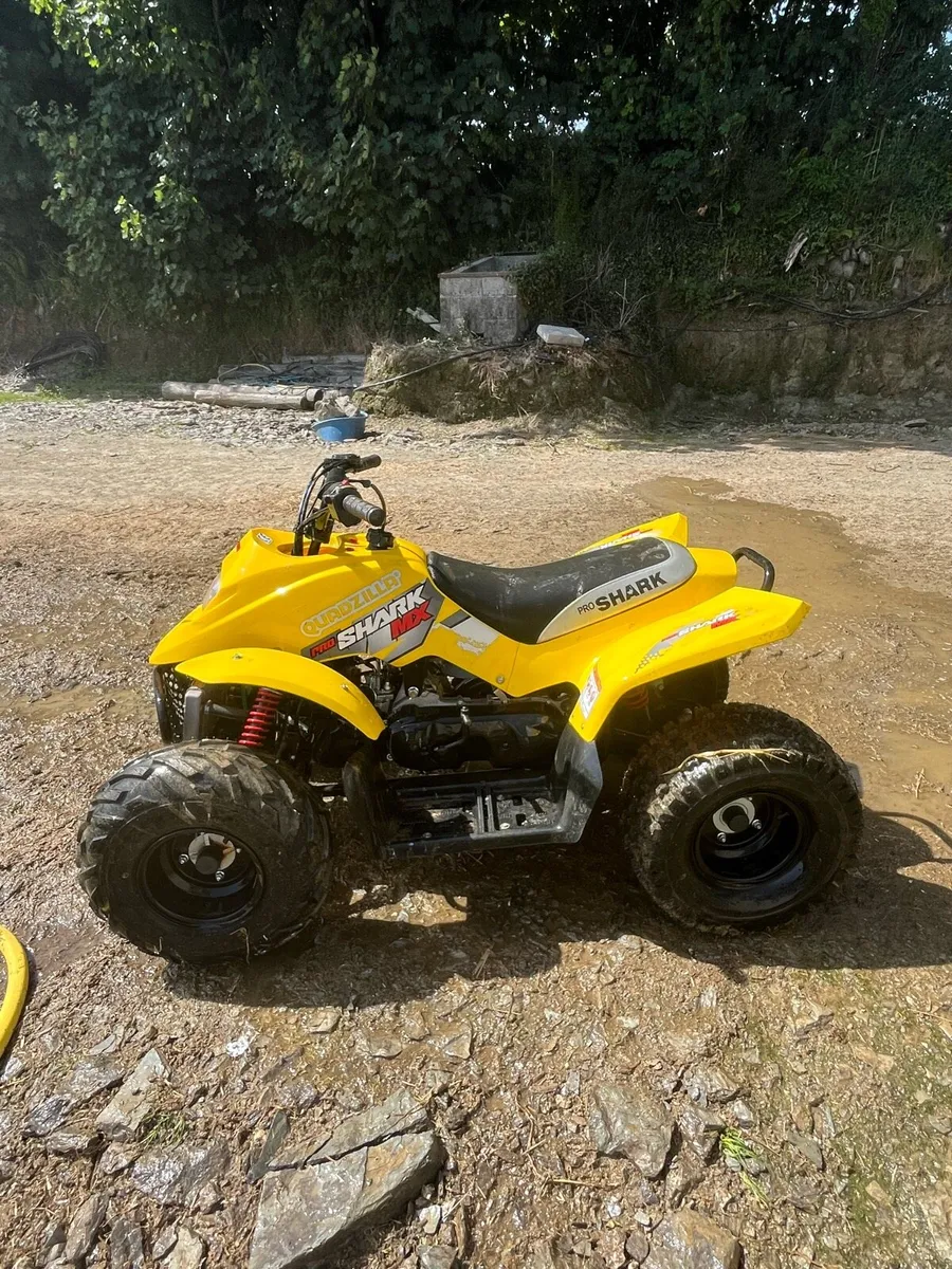 Quad - Image 2