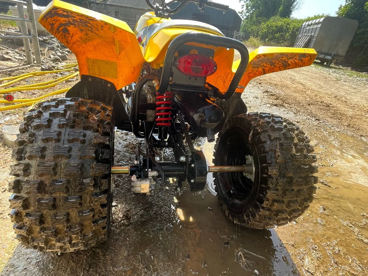 Quad - Image 3