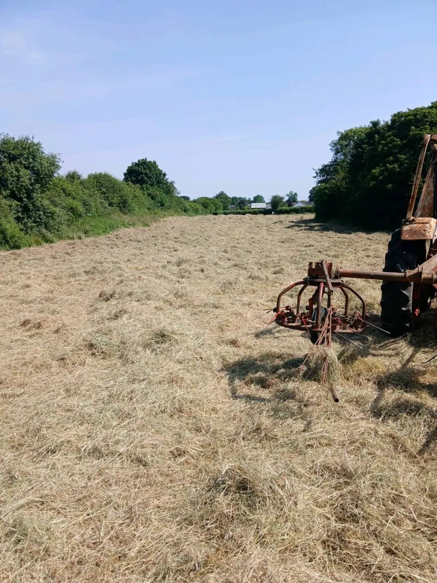Small square bales of hay - Image 1