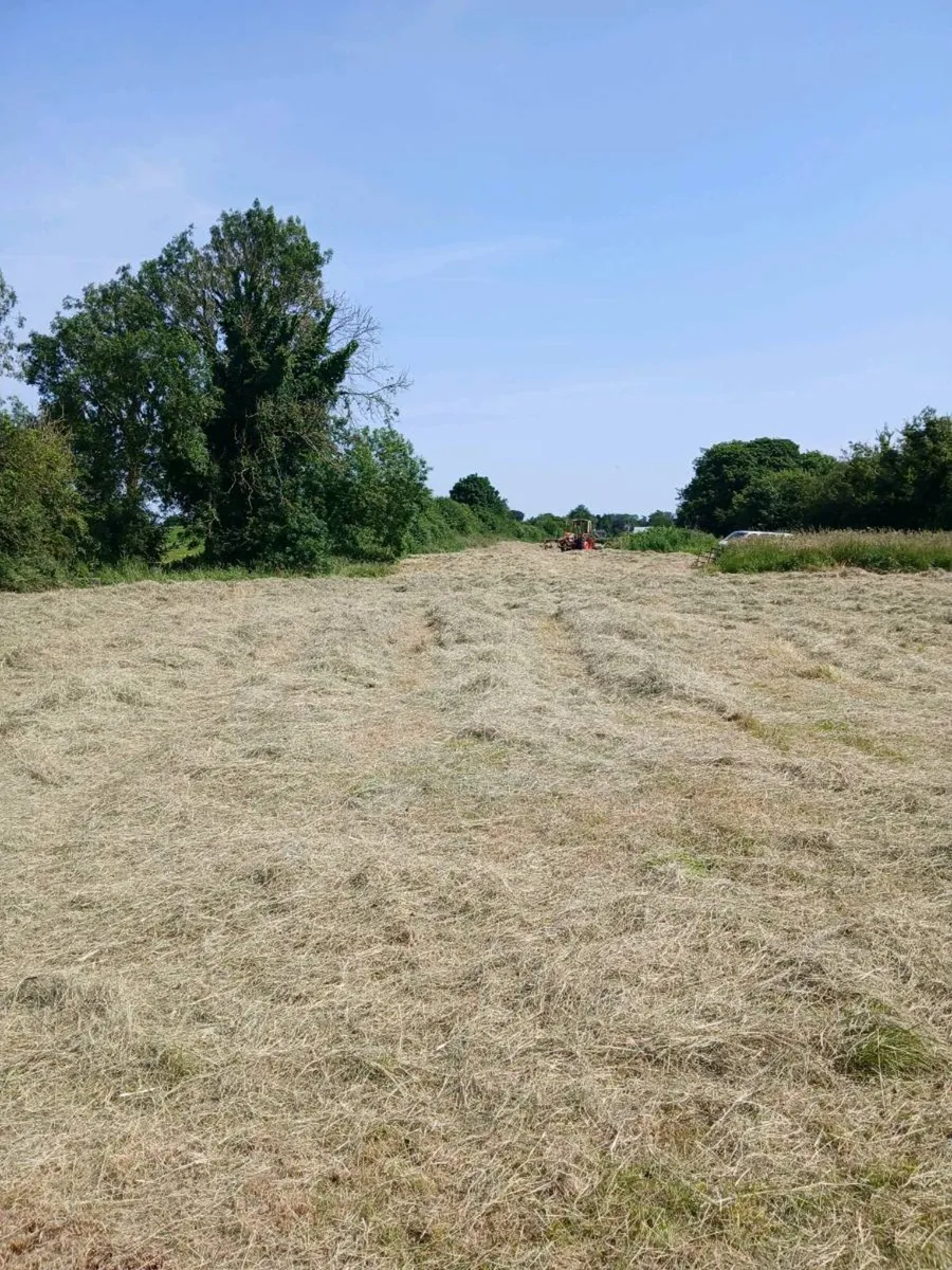 Small square bales of hay - Image 2