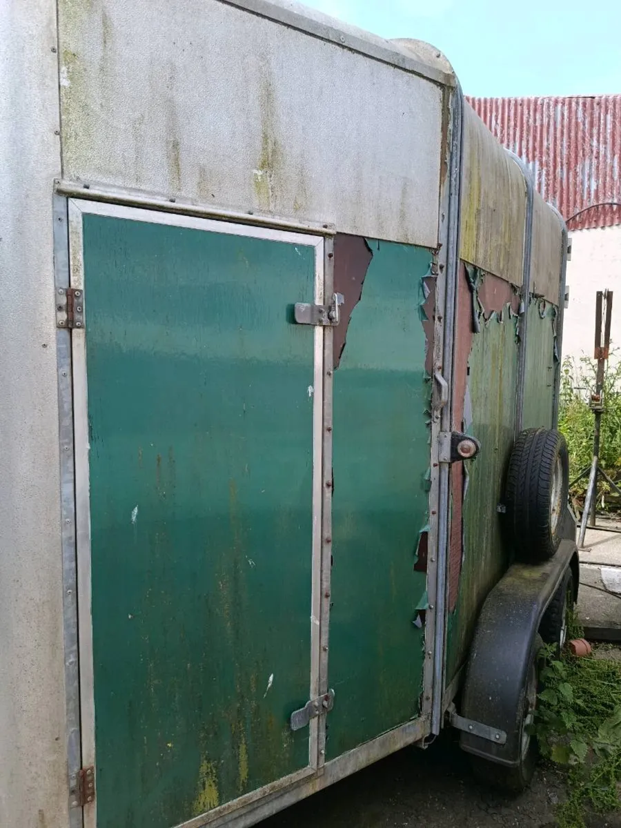 Ifor Williams HB505 Horse Box - Image 1