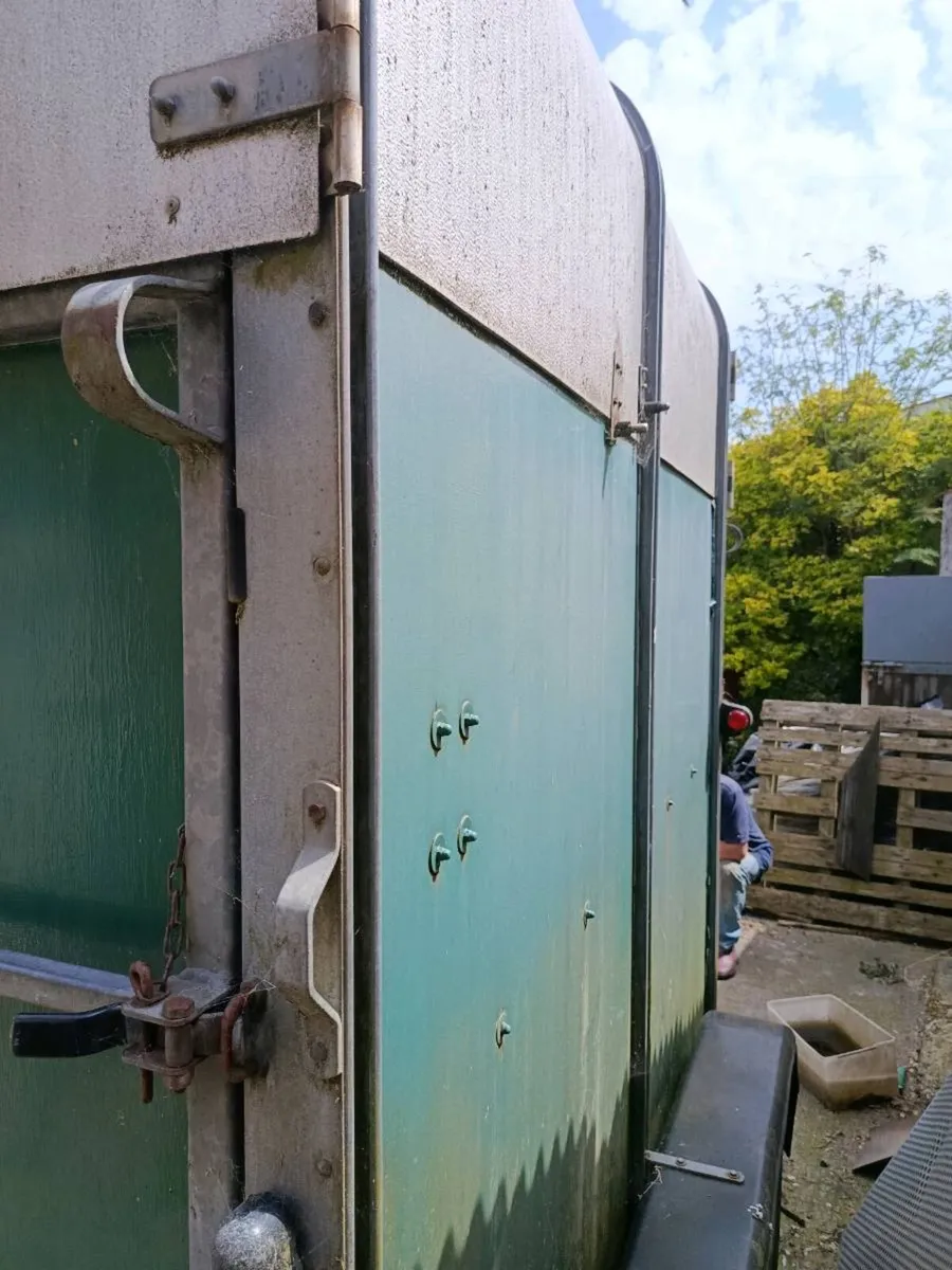 Ifor Williams HB505 Horse Box - Image 3