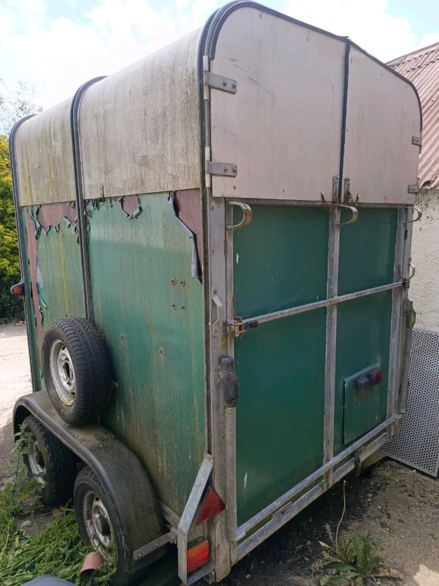Ifor Williams HB505 Horse Box - Image 2