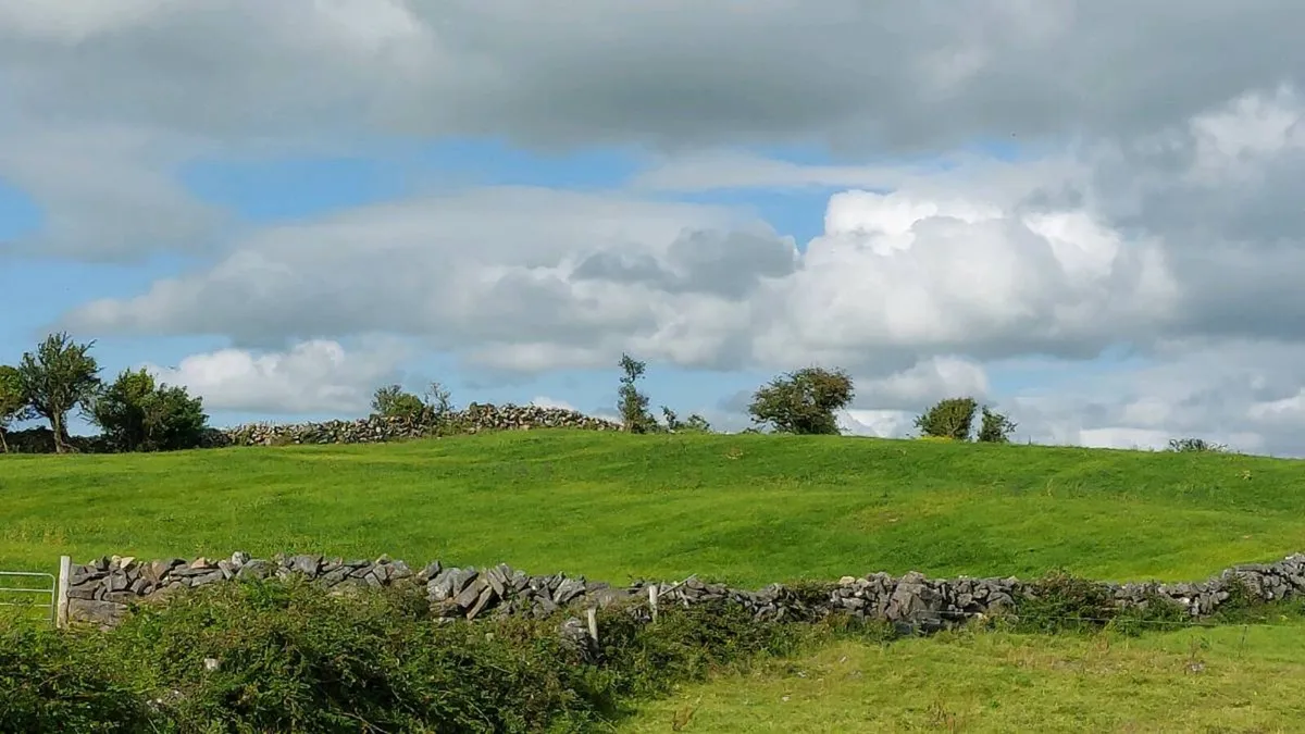 Silage ground Wanted