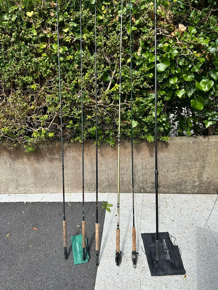 Selection of fly fishing rods - Image 1