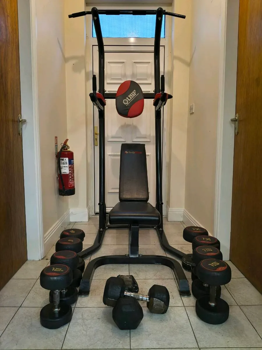Gym Benches & Dumbbells - Image 2