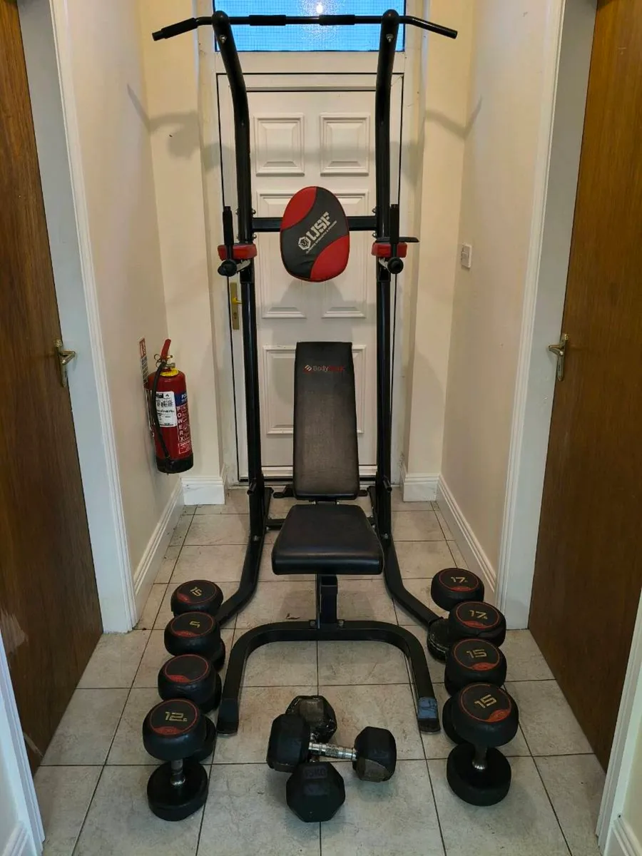 Gym Benches & Dumbbells - Image 1