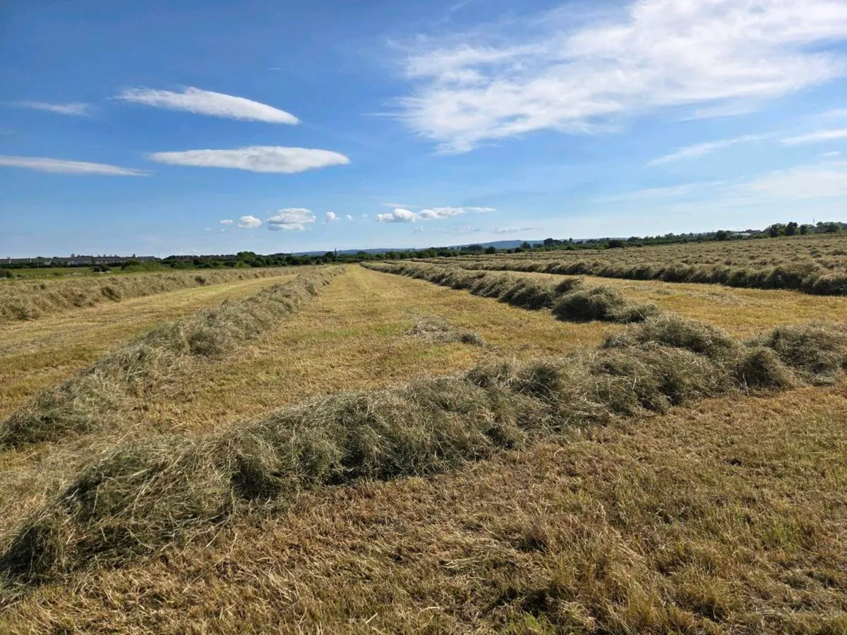 Hay Bales - Image 2