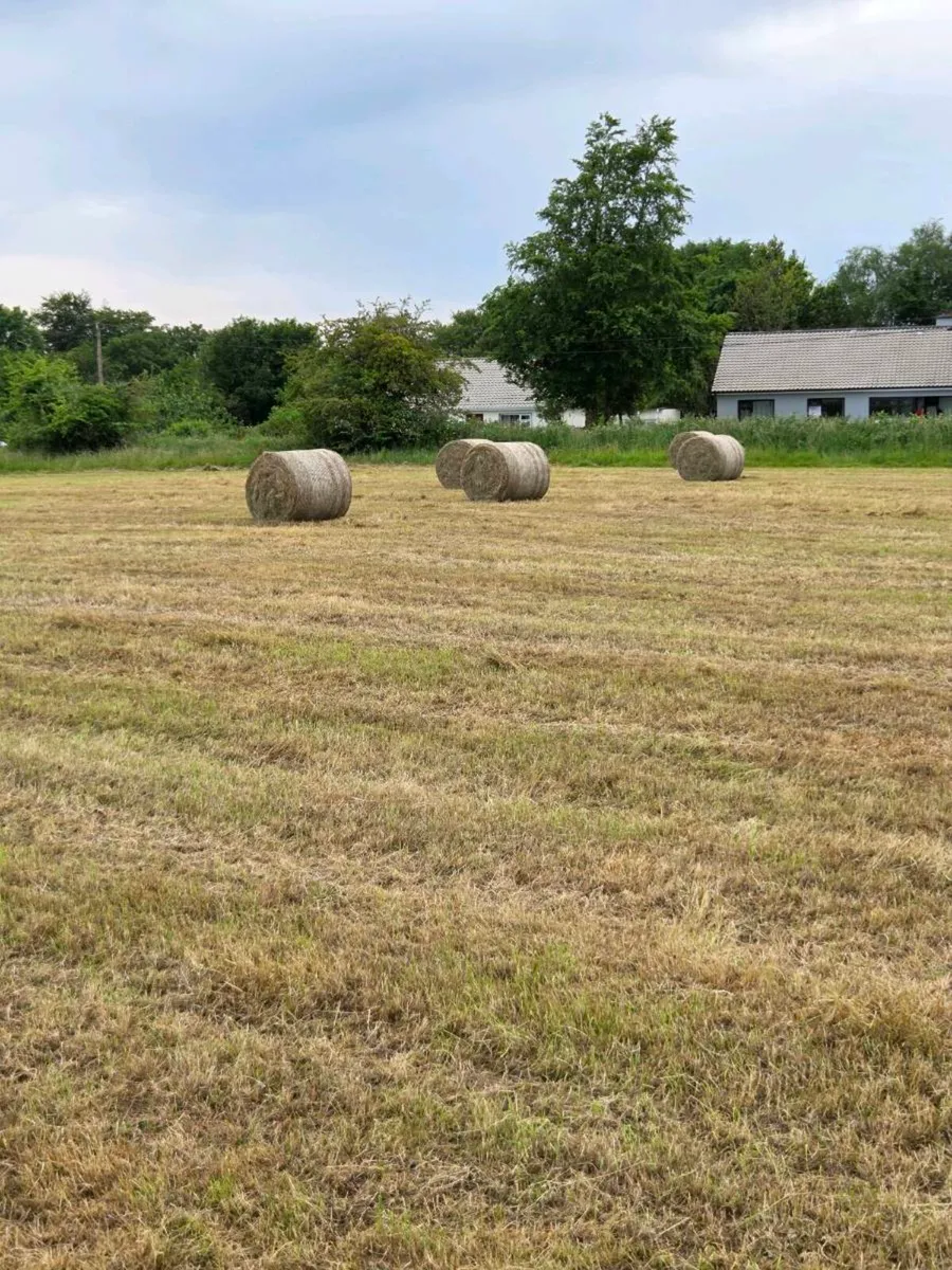 Hay Bales - Image 3