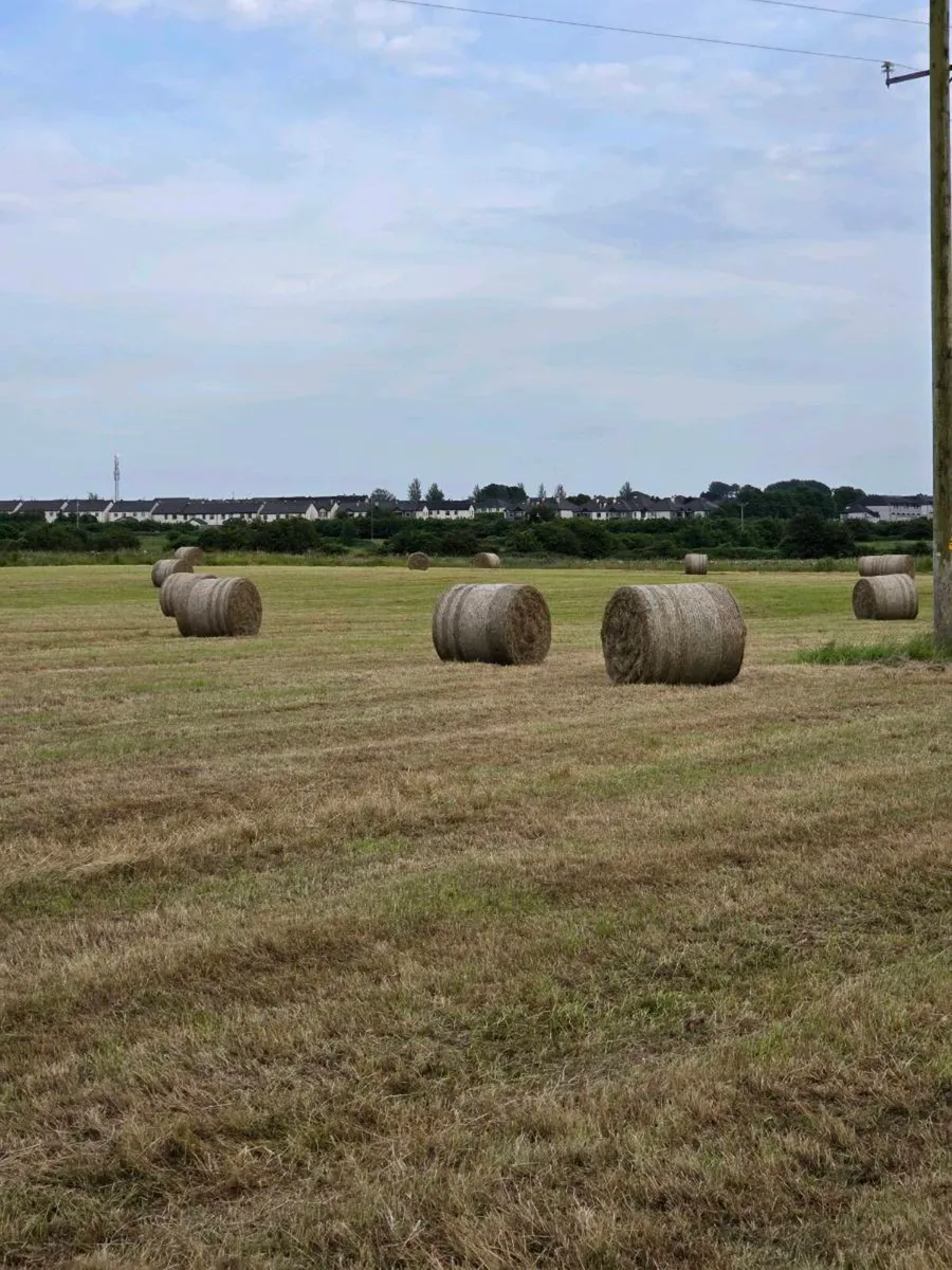 Hay Bales - Image 1